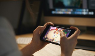 宝可梦剑盾怖思壶单打怎么配招