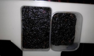 阿胶可以放冰箱冷冻吗 阿胶可以放冰箱冷冻吗多少度
