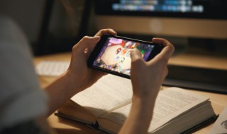 宝可梦剑盾火蜈蚣在哪 宝可梦剑盾烧火蚣在哪