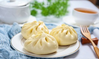 不发面也可以做包子的方法（不发的面可以做包子吗）