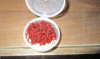 红虫保存最简单的方法（红虫保存最简单的方法是什么）