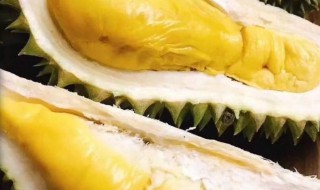 带壳榴莲储存方法（带壳榴莲储存方法视频）