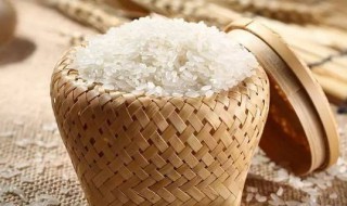 大米防止生虫的七个方法（大米防止生虫的用什么方法）