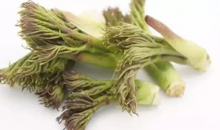 刺嫩芽的食用方法（刺嫩芽的吃法有几种方法?）
