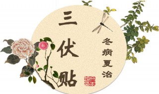 三伏贴后多久吃西瓜 三伏贴后吃了西瓜,有什么后果