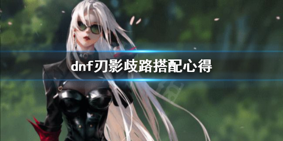 dnf刃影歧路怎么搭配（dnf刃影歧路搭配希洛克）