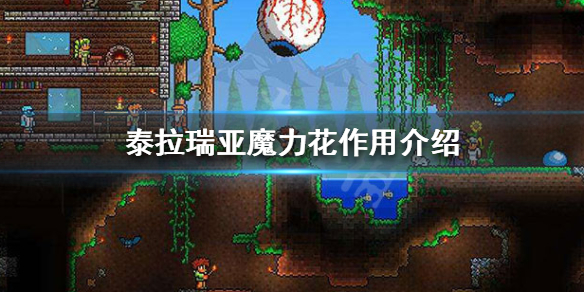 泰拉瑞亚魔力花有什么用（泰拉瑞亚魔力花怎么用）