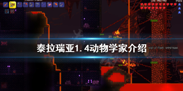 泰拉瑞亚1.4动物学家介绍（泰拉瑞亚1.4.0.5动物学家）