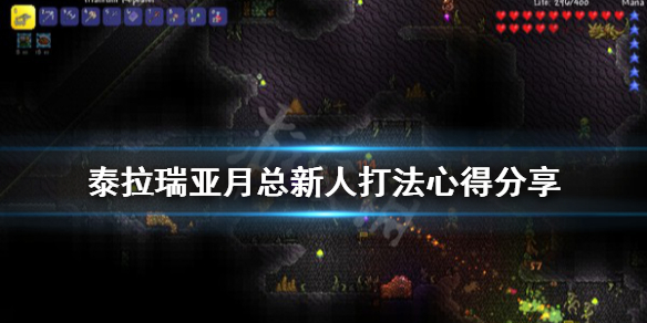 泰拉瑞亚月总怎么打（泰拉瑞亚月总怎么打战士）