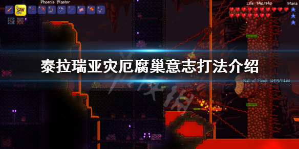 泰拉瑞亚灾厄腐巢意志怎么打 泰拉瑞亚腐巢意志掉落