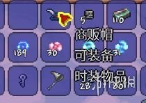 泰拉瑞亚NPC死亡后会掉落物品一览（泰拉瑞亚人物死亡后物品全部掉落）