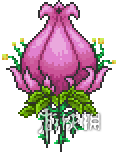 泰拉瑞亚全boss攻略详解（泰拉瑞亚各boss攻略）