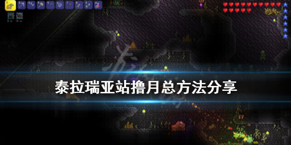 泰拉瑞亚月总怎么站撸（泰拉瑞亚月总怎么打最稳手机）