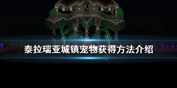 泰拉瑞亚城镇宠物怎么获得（泰拉瑞亚镇上宠物）