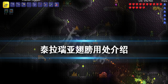 泰拉瑞亚翅膀有什么用 泰拉瑞亚翅膀有什么区别