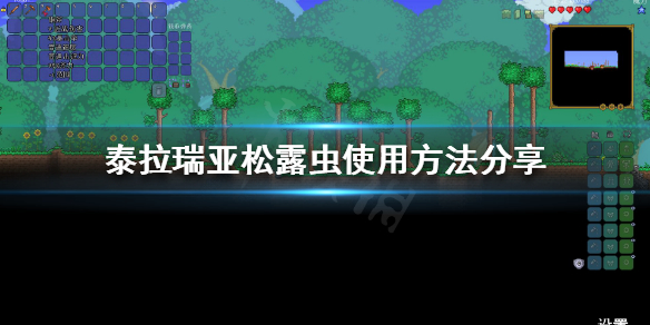 泰拉瑞亚松露虫有什么用（泰拉瑞亚松露虫能干嘛）