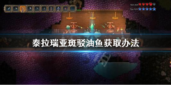 泰拉瑞亚斑驳油鱼在哪里钓（泰拉瑞亚斑叶油鱼有什么用）
