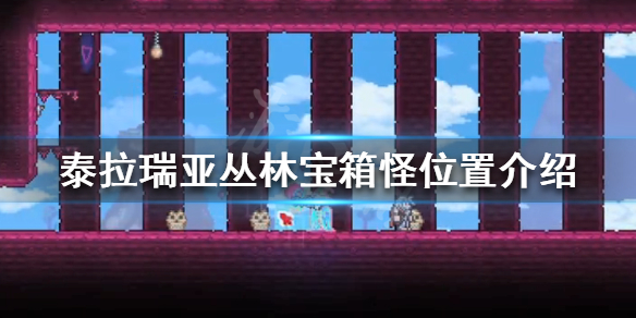 泰拉瑞亚丛林宝箱怪在哪 泰拉瑞亚丛林宝箱怪在哪里生成