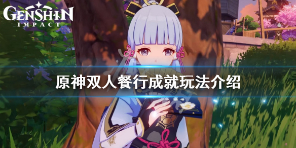 原神双人餐行成就怎么玩（原神双人能干什么）