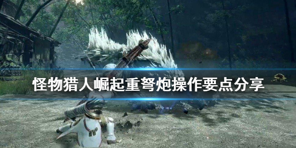 怪物猎人崛起重弩炮操作要点是什么 怪物猎人崛起重弩通常弹配装