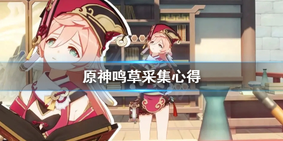 原神鸣草怎么采集（原神鸣草采集位置）