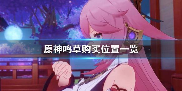 原神鸣草在哪买 原神卖鸣草的商人