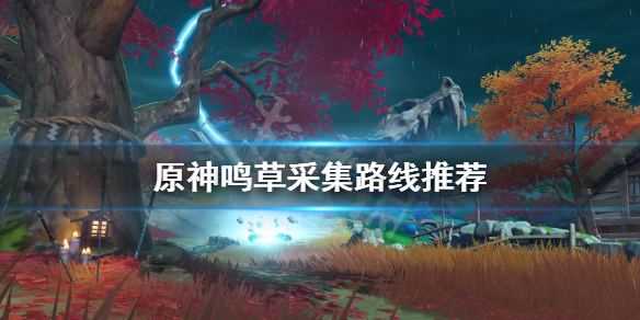原神鸣草在哪采集（原神鸣草哪里获得）