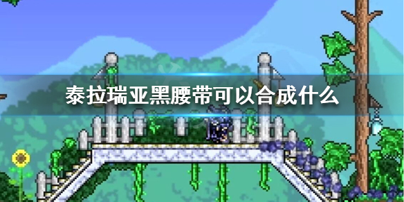 泰拉瑞亚黑腰带可以合成什么 泰拉瑞亚黑束腰带怎么获得