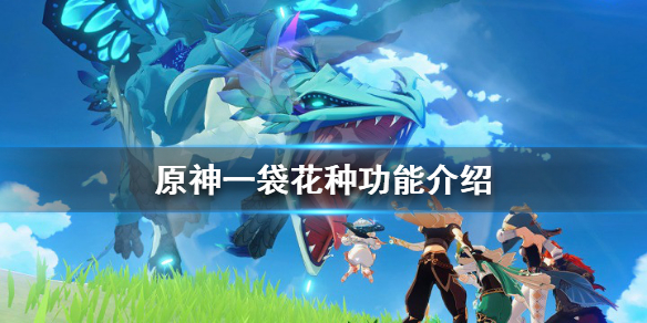 原神一袋花种子有什么用（一袋花种去哪里兑换）