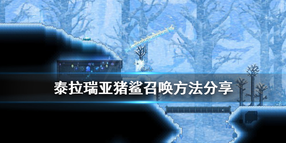 泰拉瑞亚猪鲨怎么召唤（泰拉瑞亚猪鲨怎么召唤出来）