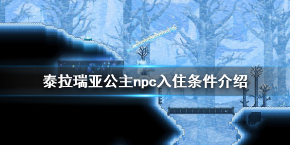 泰拉瑞亚公主怎么入住 泰拉瑞亚公主入住的条件