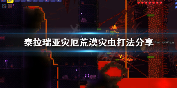 泰拉瑞亚灾厄荒漠灾虫打法分享 泰拉瑞亚灾厄mod沙漠荒虫