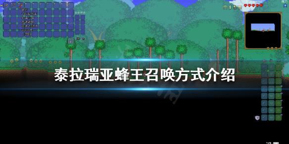 泰拉瑞亚蜂王好打吗 泰拉瑞亚蜂王掉什么武器
