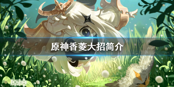 原神香菱大招好用吗 原神香菱大招伤害和什么有关