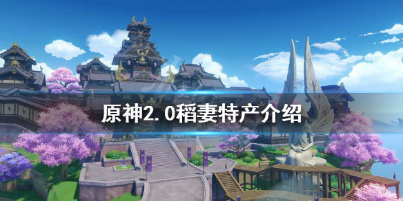 原神稻妻特产有什么（显示稻妻特产的角色）