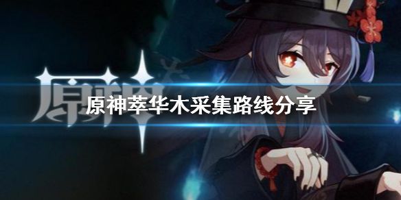 原神萃华木采集点选哪里好（元神萃华木采集点）