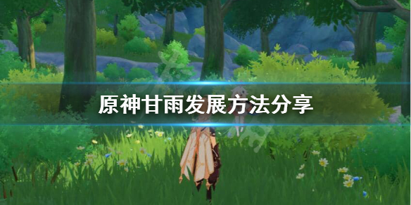 原神甘雨怎么发展 原神甘雨用法