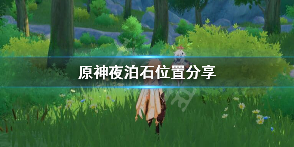 原神夜泊石在哪 原神夜泊石在哪宝儿