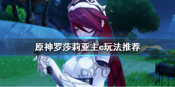 原神罗莎莉亚主c怎么玩（原神罗莎莉亚平民队伍搭配）