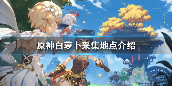 原神白萝卜哪里多 原神哪儿有白萝卜
