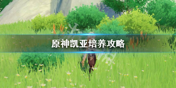 原神凯亚值得培养吗（原神安柏值得培养吗）