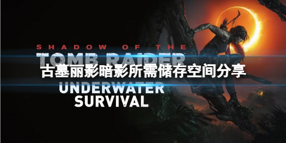 古墓丽影暗影游戏多大（古墓丽影暗影最终版多大）