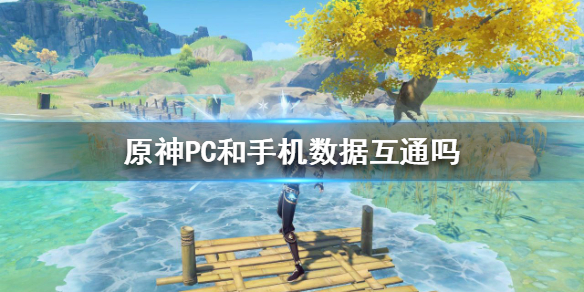 原神PC和手机数据互通吗（原神pc和手机数据互通吗）