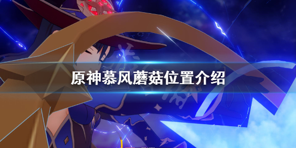原神慕风蘑菇在哪里（神慕风蘑菇在哪里买）