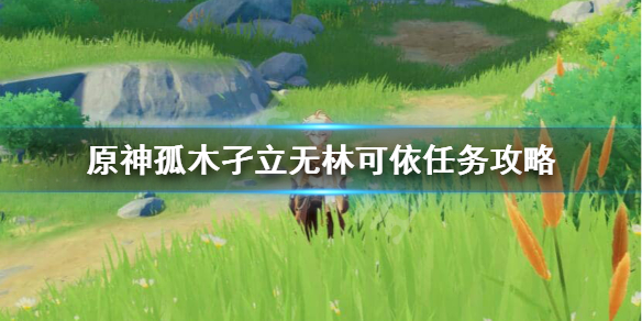 原神孤木孑立无林可依宝藏在哪 原神孤木孑立无林可依矿洞位置