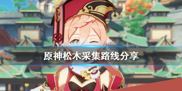 原神松木哪里多（原神松木分布图）