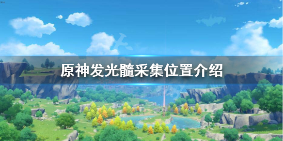 原神萤火虫在哪里 原神中萤火虫在哪