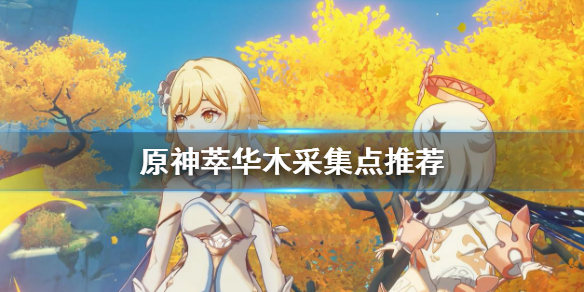 原神萃华木哪里最多 原神萃华木长什么样