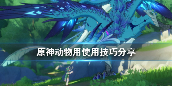 原神猫有什么用 原神猫是什么角色