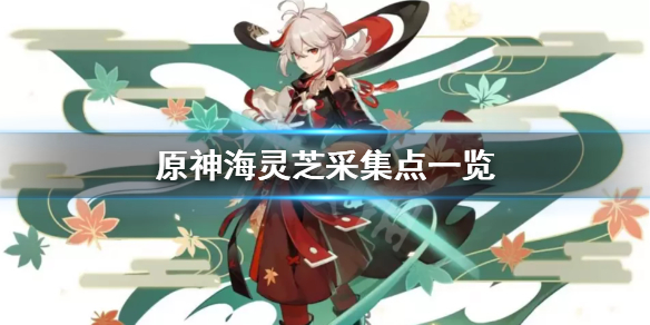 原神海灵芝在哪 原神海灵芝在哪里买